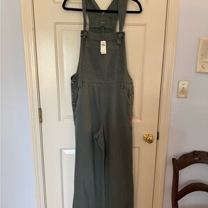 NWT Aerie Green Denim Overalls with Relaxed Fit